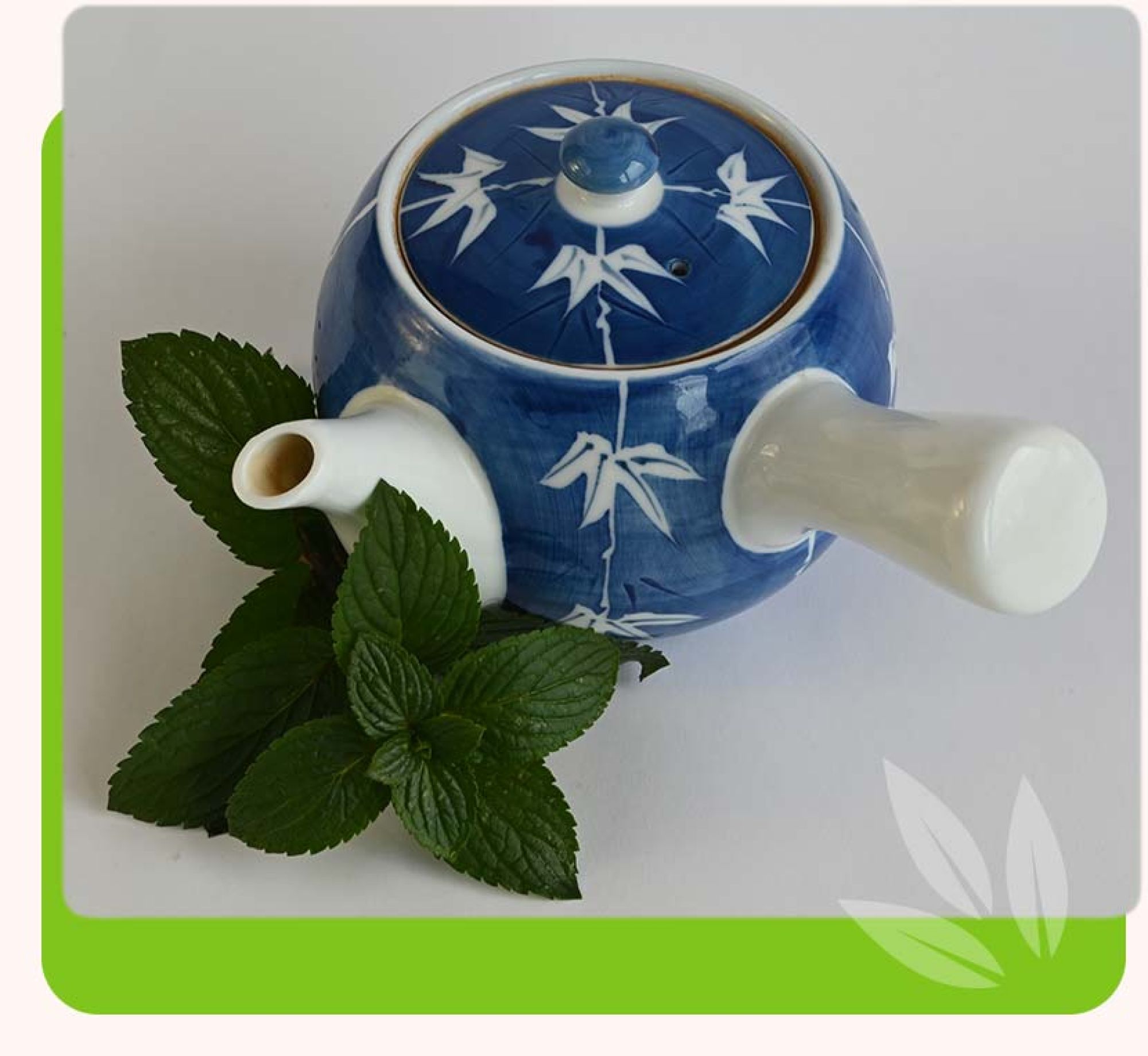 Kr&auml;uterschale und Kr&auml;uter